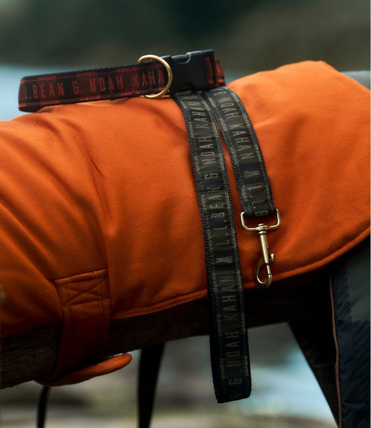 L.L.Bean | L.L.Bean & Noah Kahan Novelty Dog Leash