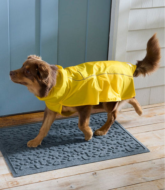 L.L.Bean | Discovery Dog Rain Jacket