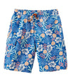 Blue Water Hibiscus