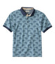 Cadet Blue Fish