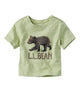Moss Olive Bear