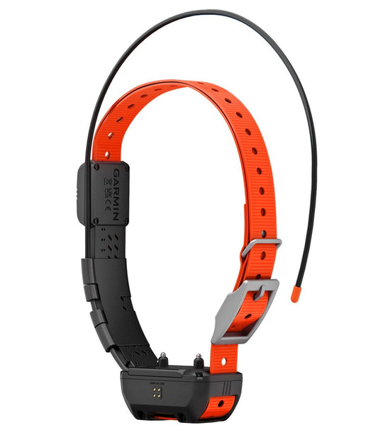L.L.Bean | Garmin Alpha TT25 Dog Collar