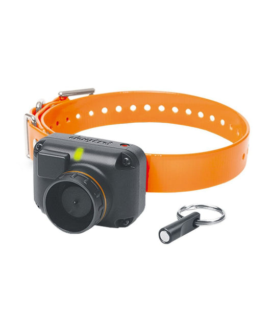 L.L.Bean | Dogtra STB Beeper Collar